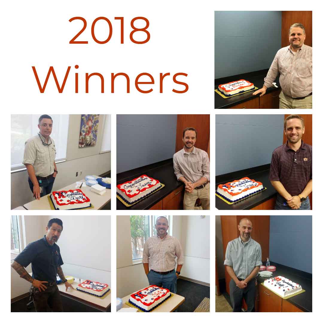 Collage of all 2018 Spirit of Excellence Winners